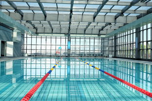 mk体育app下载-世界游泳锦标赛中国运动员连续夺牌，世界游泳锦标赛中国运动员连续夺牌几次